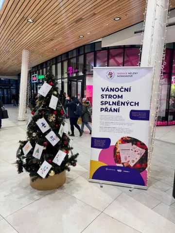 Vánoční strom splněných přání